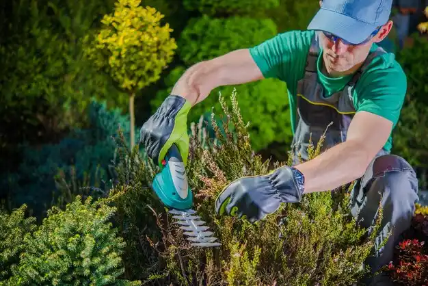 landscaping services Macon